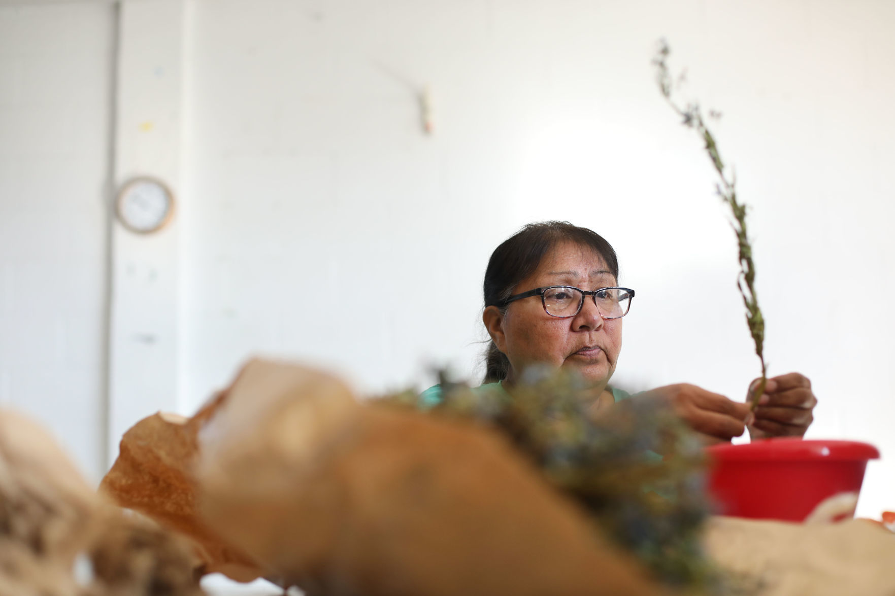 Shoshone Traditional Food